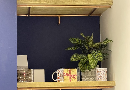Our Products